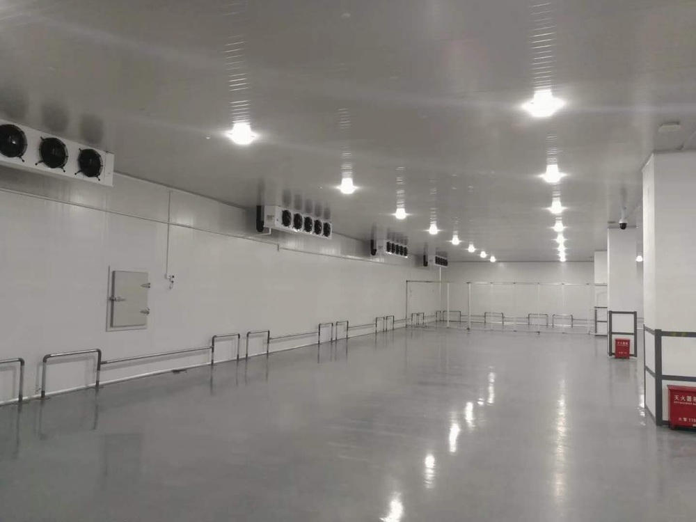 普通冷藏库建造